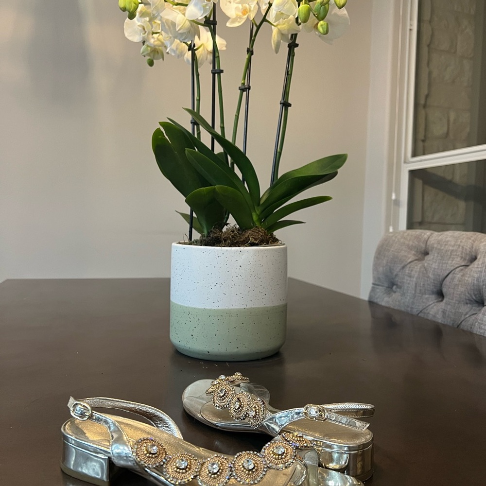 Beautiful and elegant sandals
